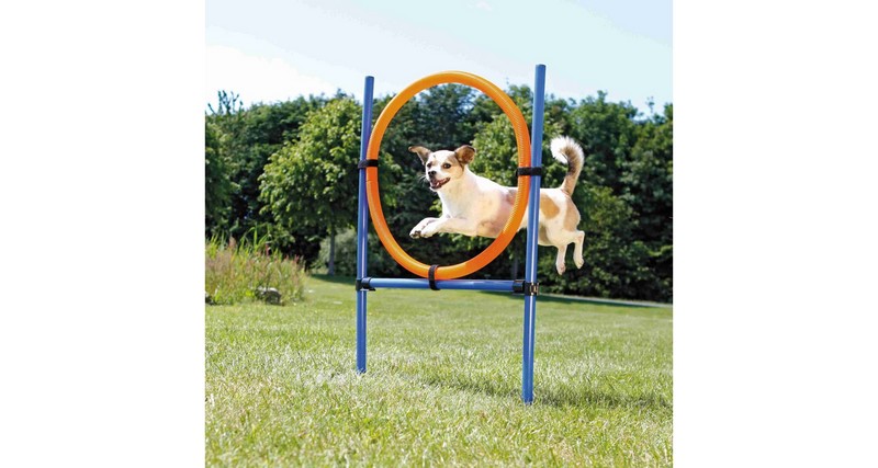 AGILITY Activity kruh proskakovací