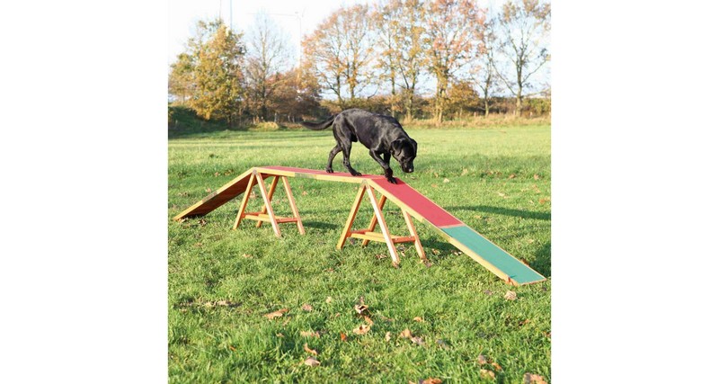 AGILITY Activity nácviková lávka 456x64x30 cm
