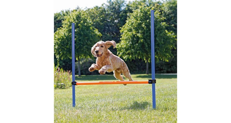 AGILITY Activity překážka, 3 tyče 129x115cm