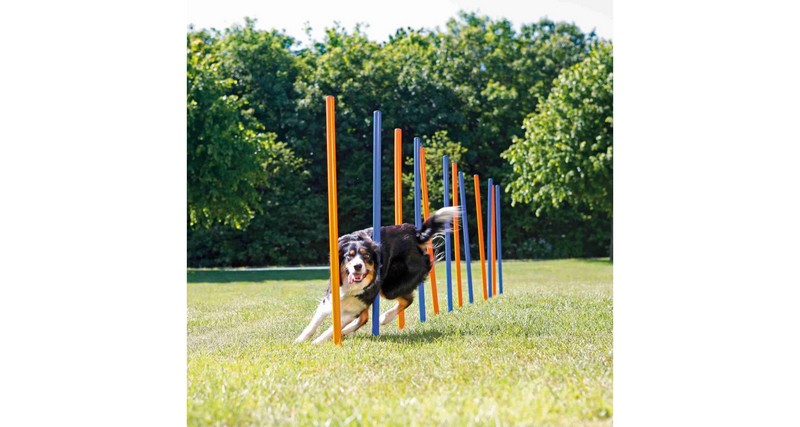 AGILITY Activity slalom, tyče 12ks