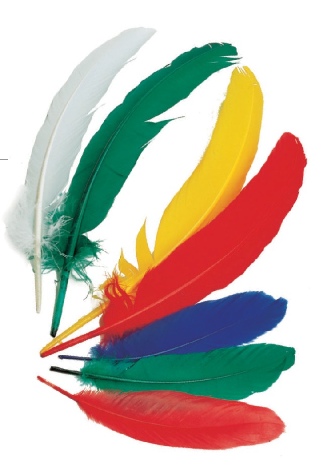 Indiánská brka střední 17-19 cm barevný mix 50 ks.