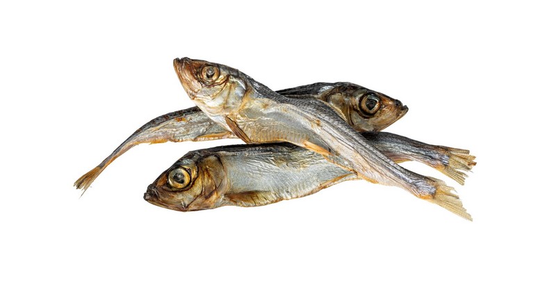 KIDDOG SUPER PREMIUM 100% dried real fish - islandský herinek 14 cm / 100 g