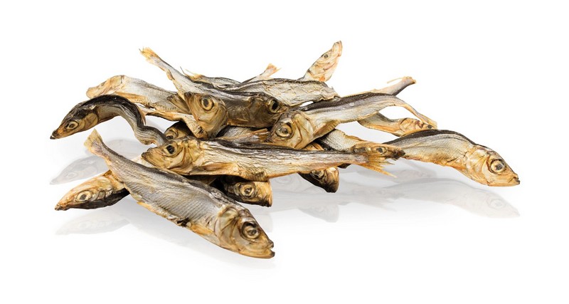 KIDDOG SUPER PREMIUM rybičky - mořské šproty 10 cm / 100 g