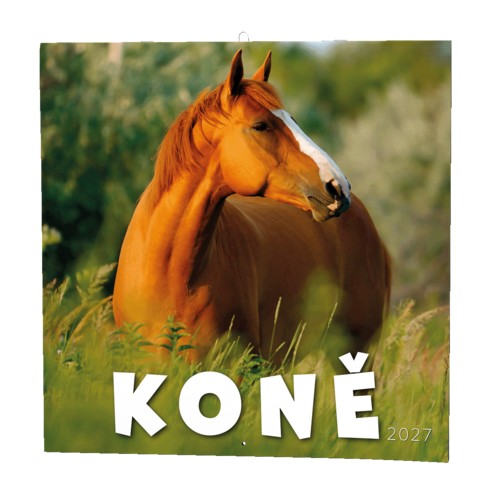 Nástěnný  kalendář 300x300 měsíční - KON�