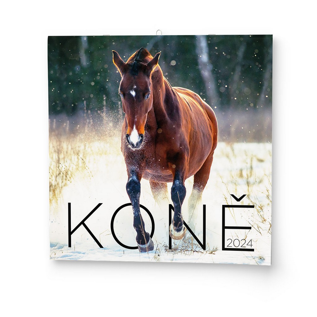 Nástěnný  kalendář A3 měsíční - Koně