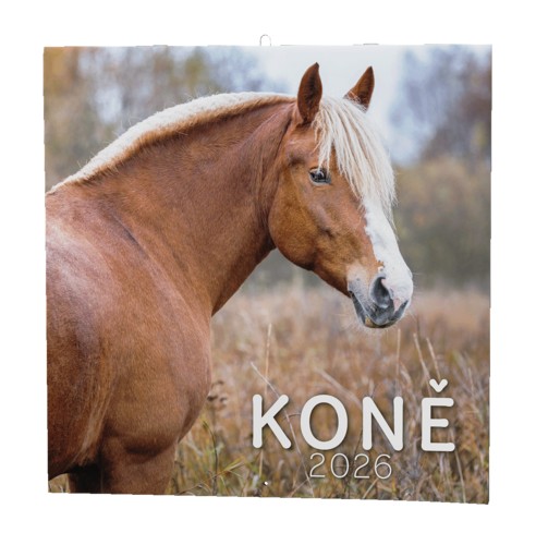 Nástěnný  kalendář A3 měsíční - Koně