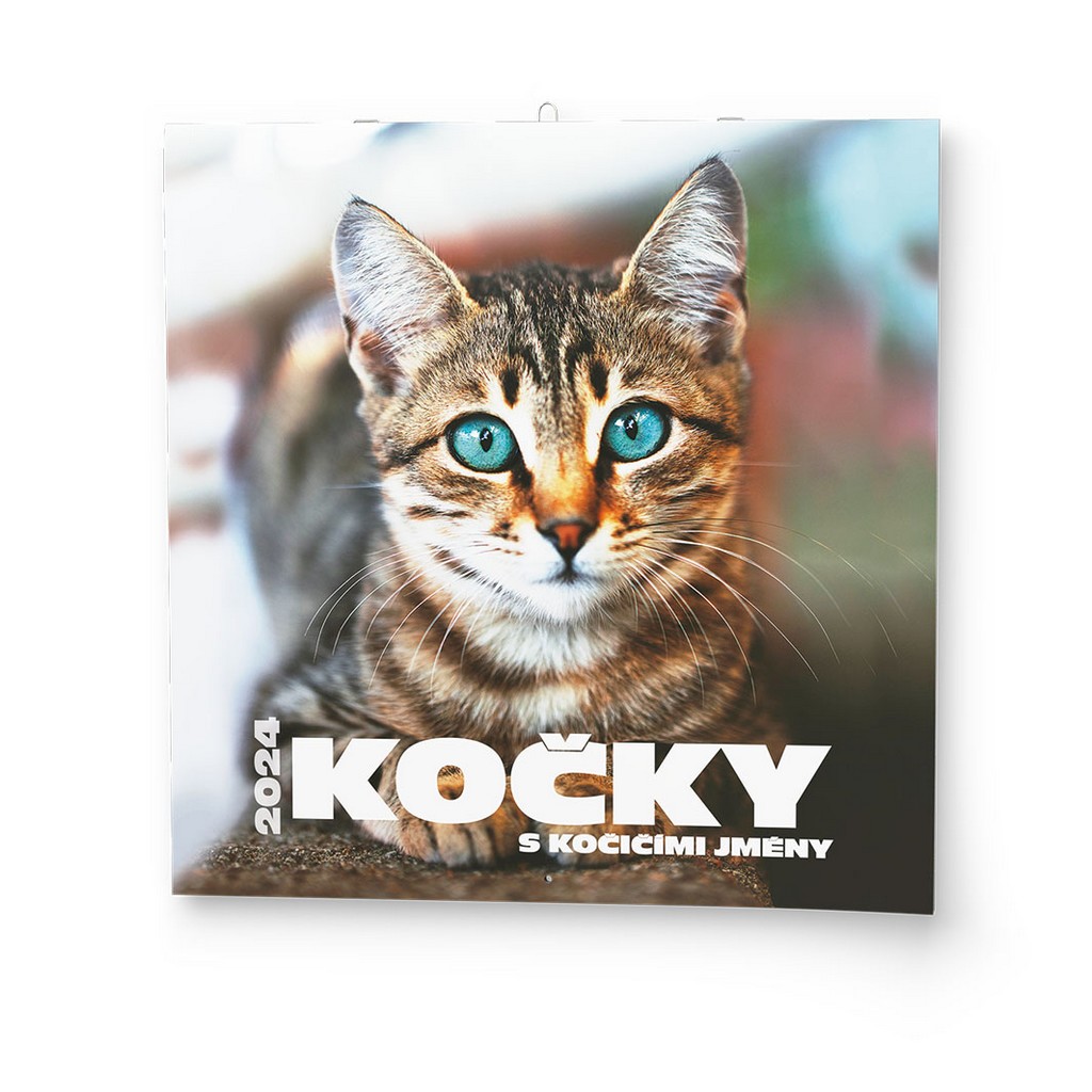 Nástěnný kalendář A3 měsíční - Kočky