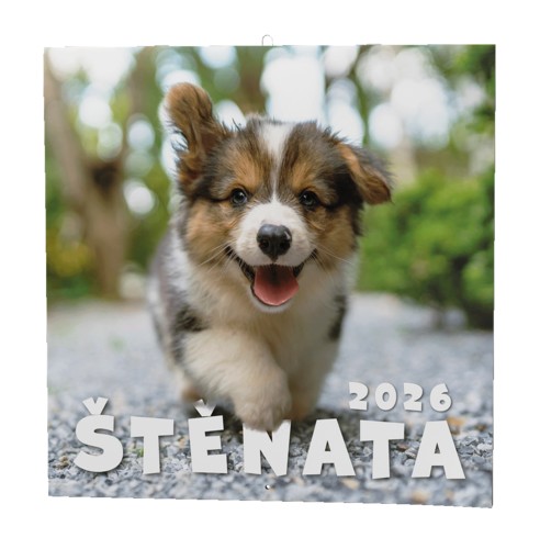 Nástěnný kalendář A3 měsíční - Štěnata