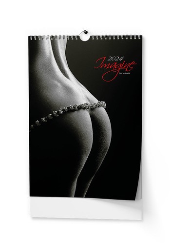 Nástěnný kalendář A3 měsíční - Woman Imag