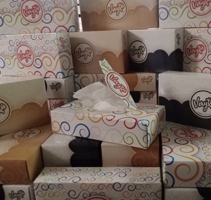 Papírové kapesníčky vytahovací 2vr. v boxu VE
